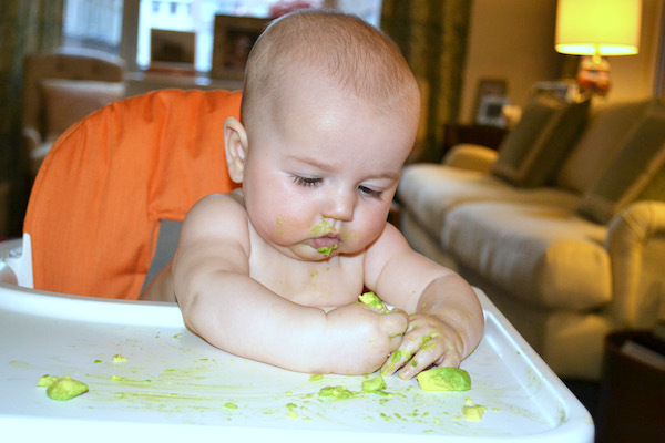 knoxs first solids (10)