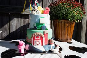 Great ideas for a kids barnyard birthday party.