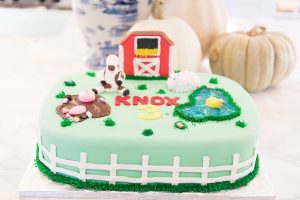 Knox's 3rd birthday party