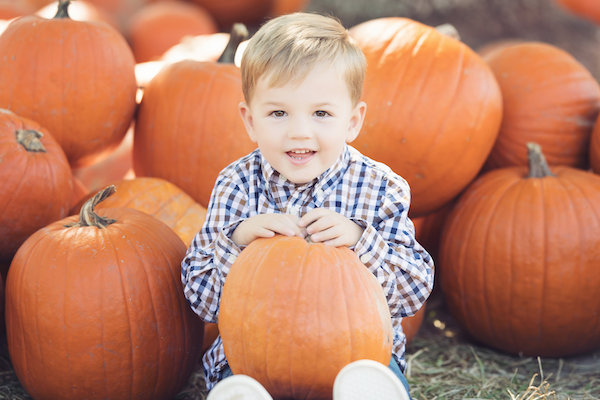 Knox at the pumpkin patch